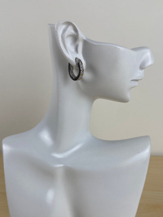 Earrings stainless steel, cubic z 89438